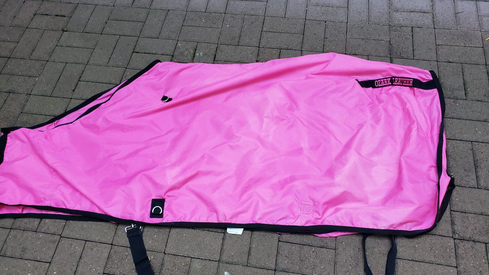 Pink size 72 horse sheet