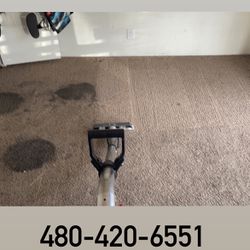 Steam Carpet And Upholstery Cleaner 