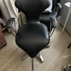 Stylus Chair Dryer And Chair
