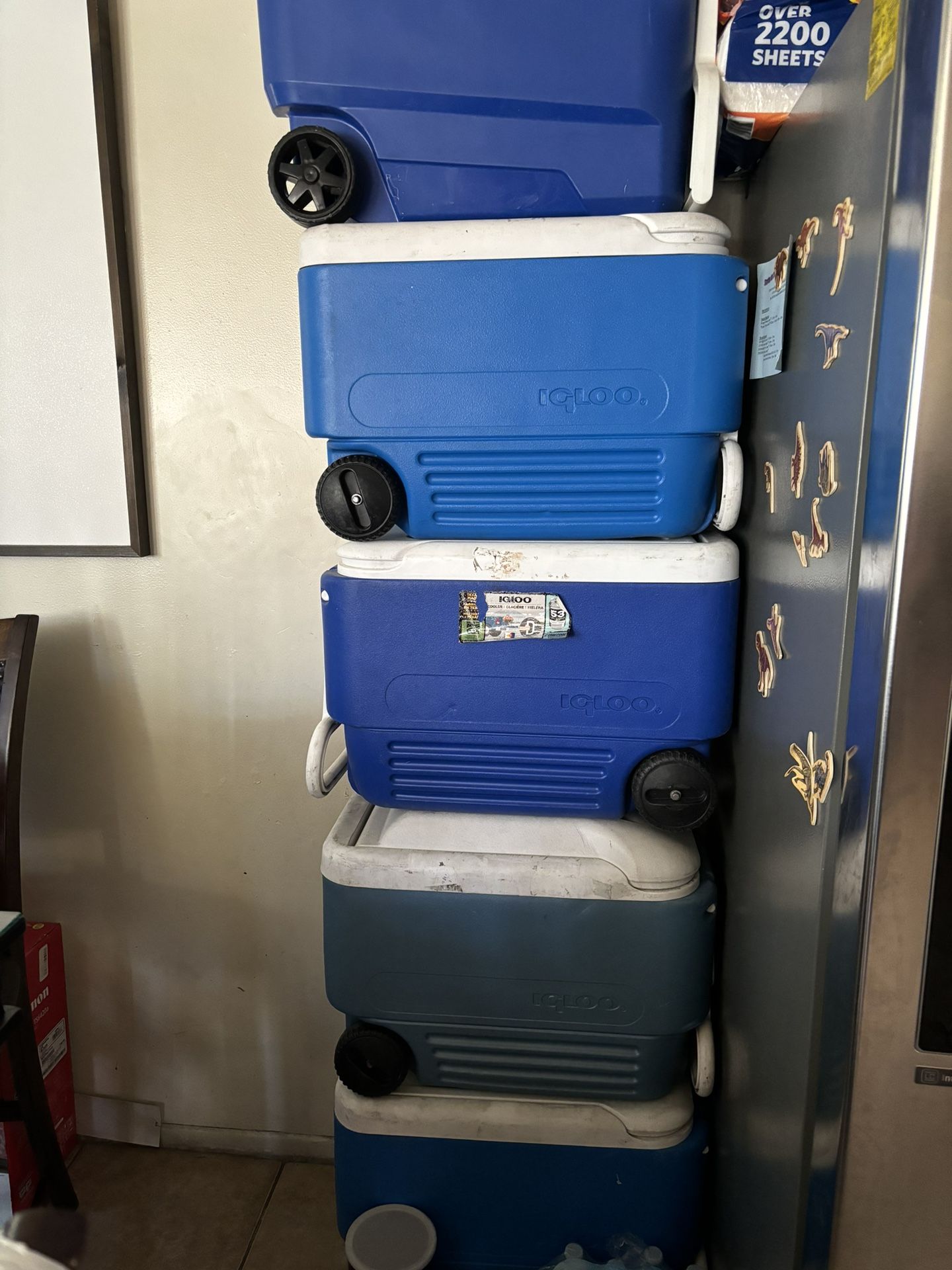 38 Qt Coolers