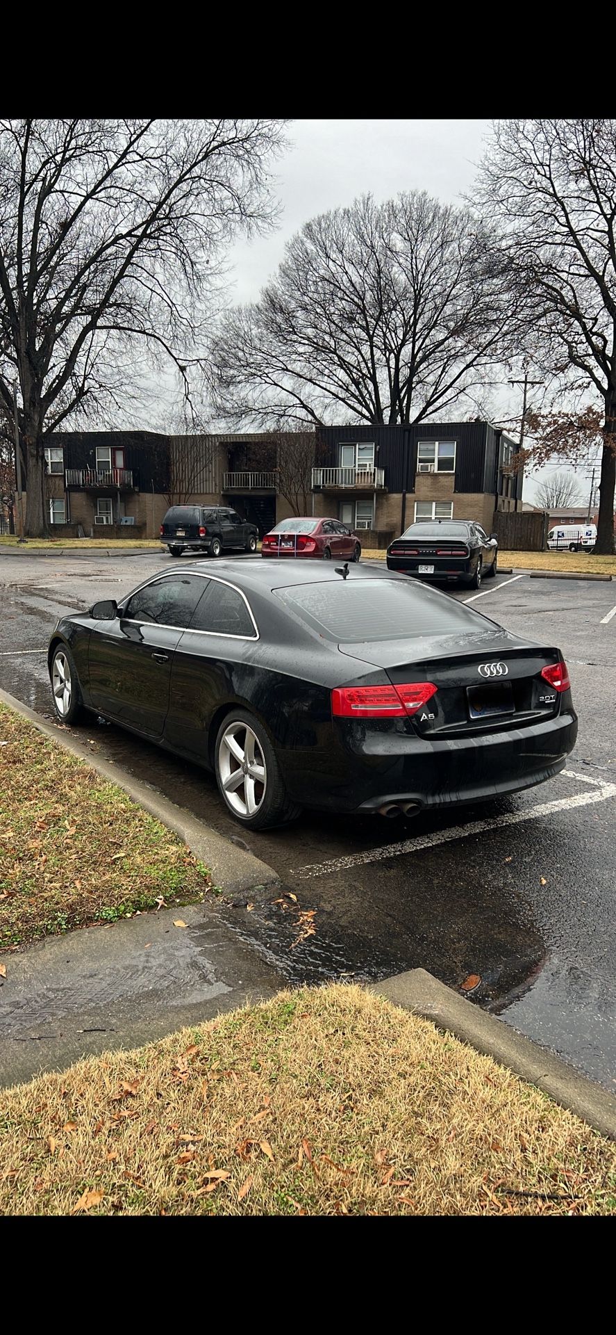 2010 Audi A5