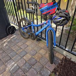 2 Boys Bikes (Trek Mountian Bike & Shwinn BMX Bike)