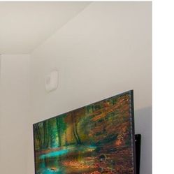 55” TLC 4K Roku TV’s 