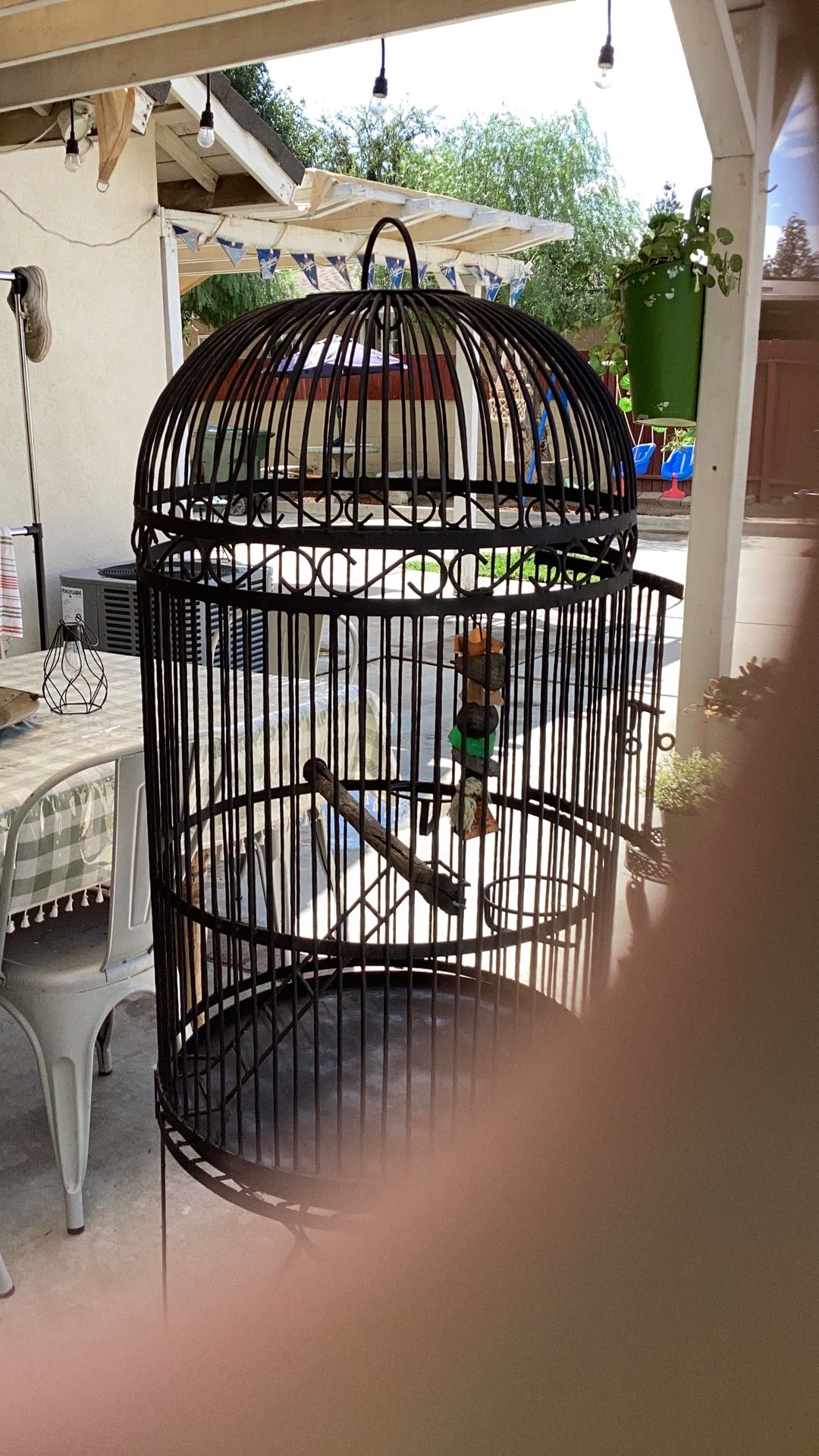 BIRD  CAGE 
