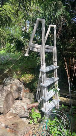 Pool ladder