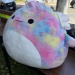 Dragonfly Squishmallow