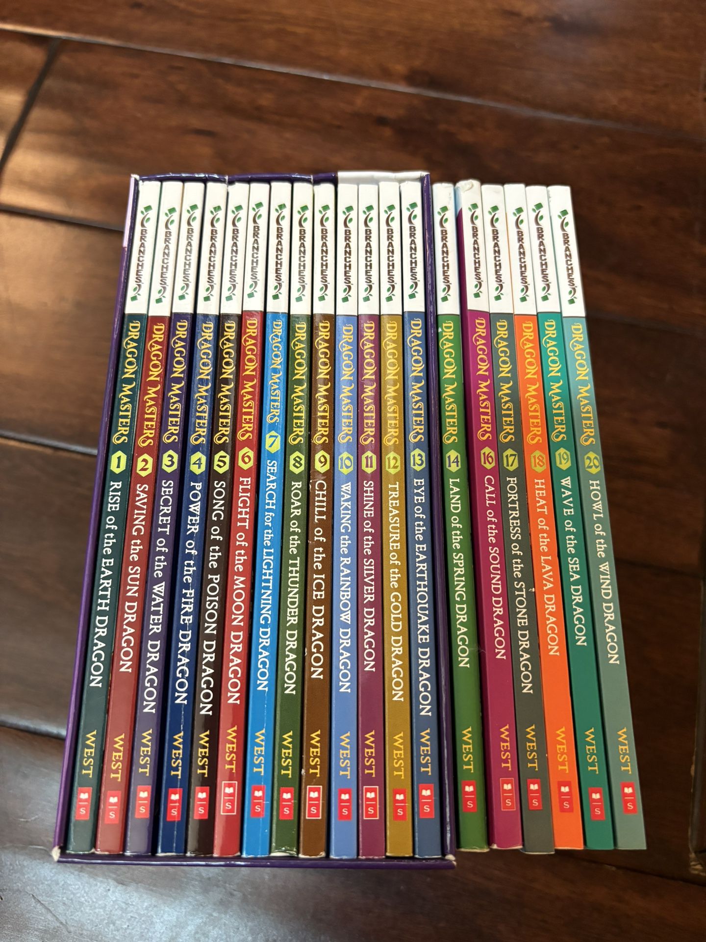 Dragon Masters Books (1-20, Missing #15)