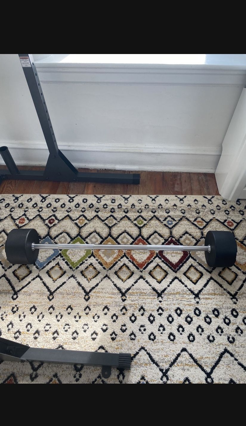 100 lb Fixed Barbell