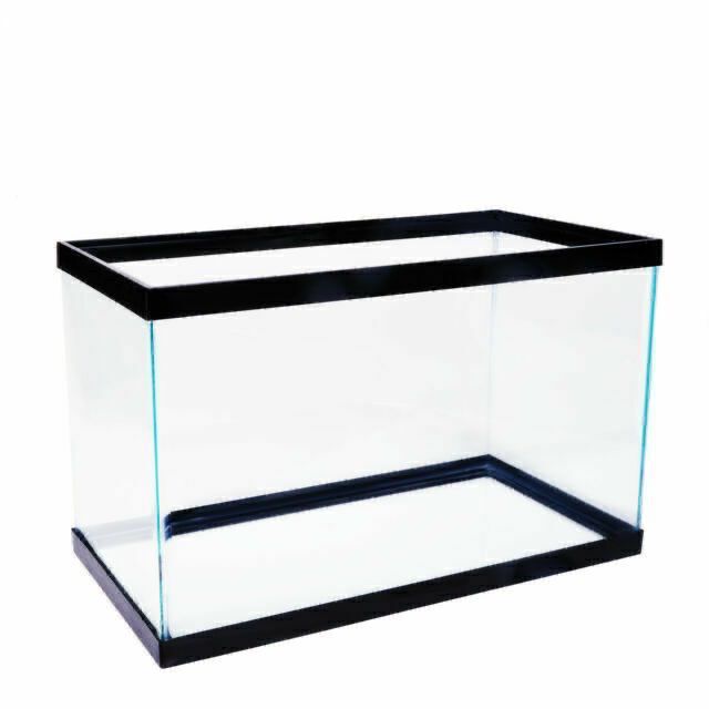 Gently Used 10 Gallon Fish Tank With Glass Top