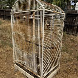 Indoor Outdoor Bird Cage