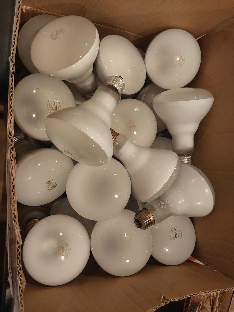 36 BR30 65 Watt Light Bulbs