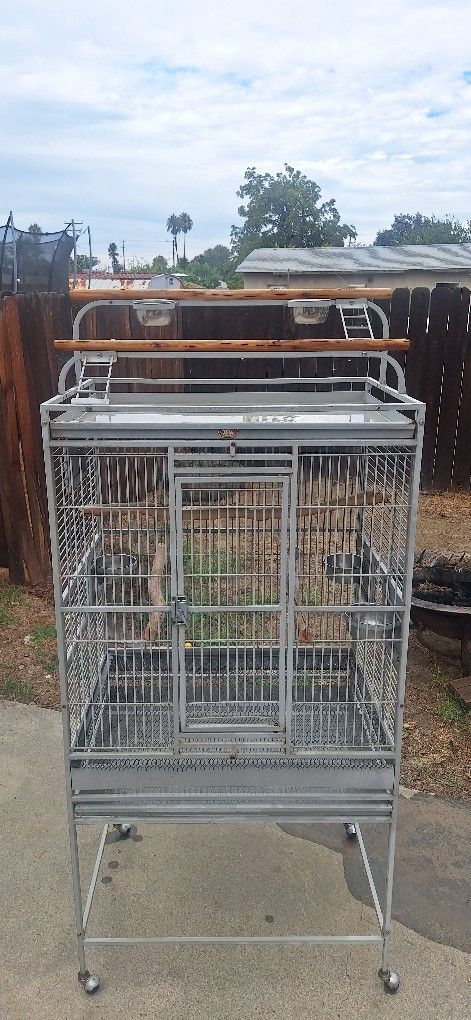 Bird Cage 