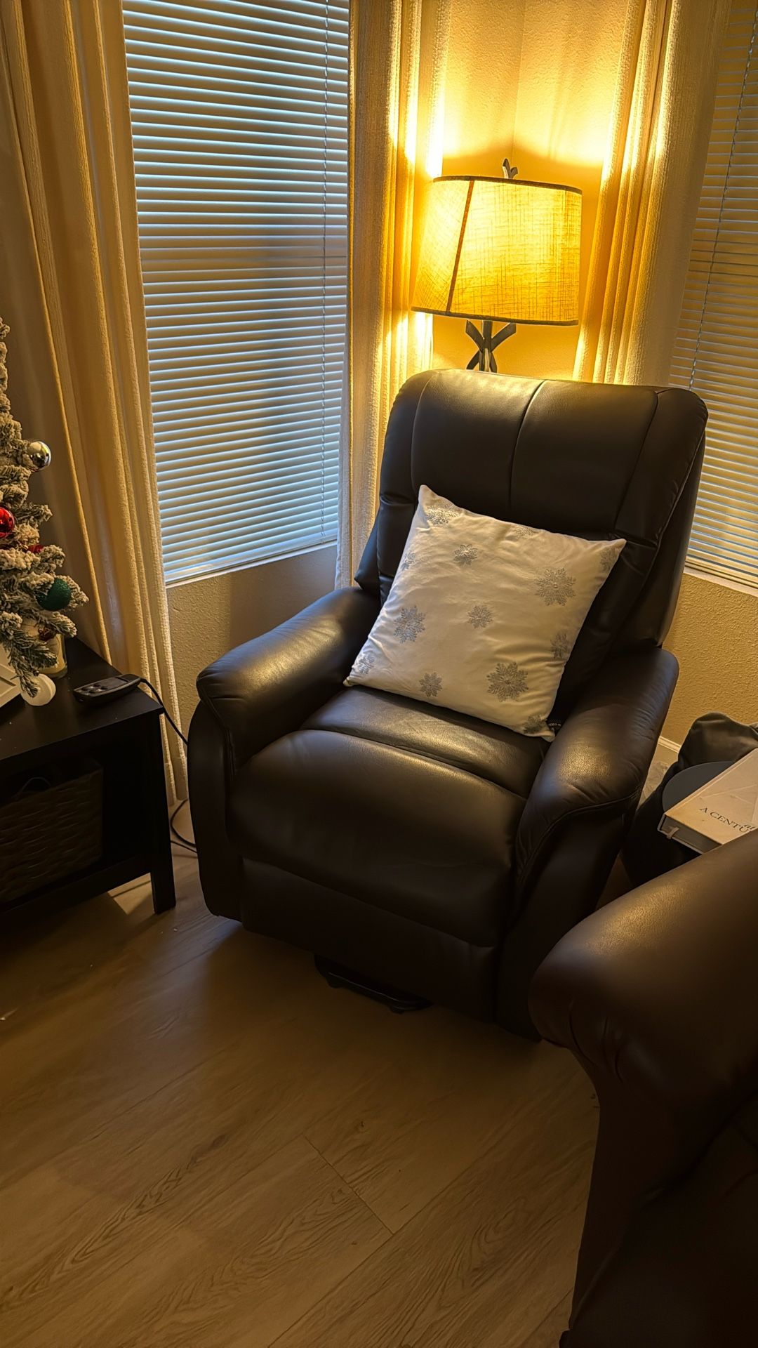Electric Recliner