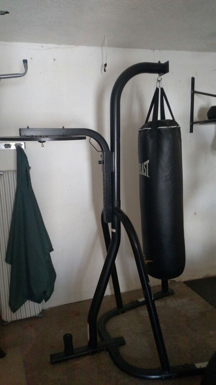 Everlast heavy bag with mount and with speed bag holer