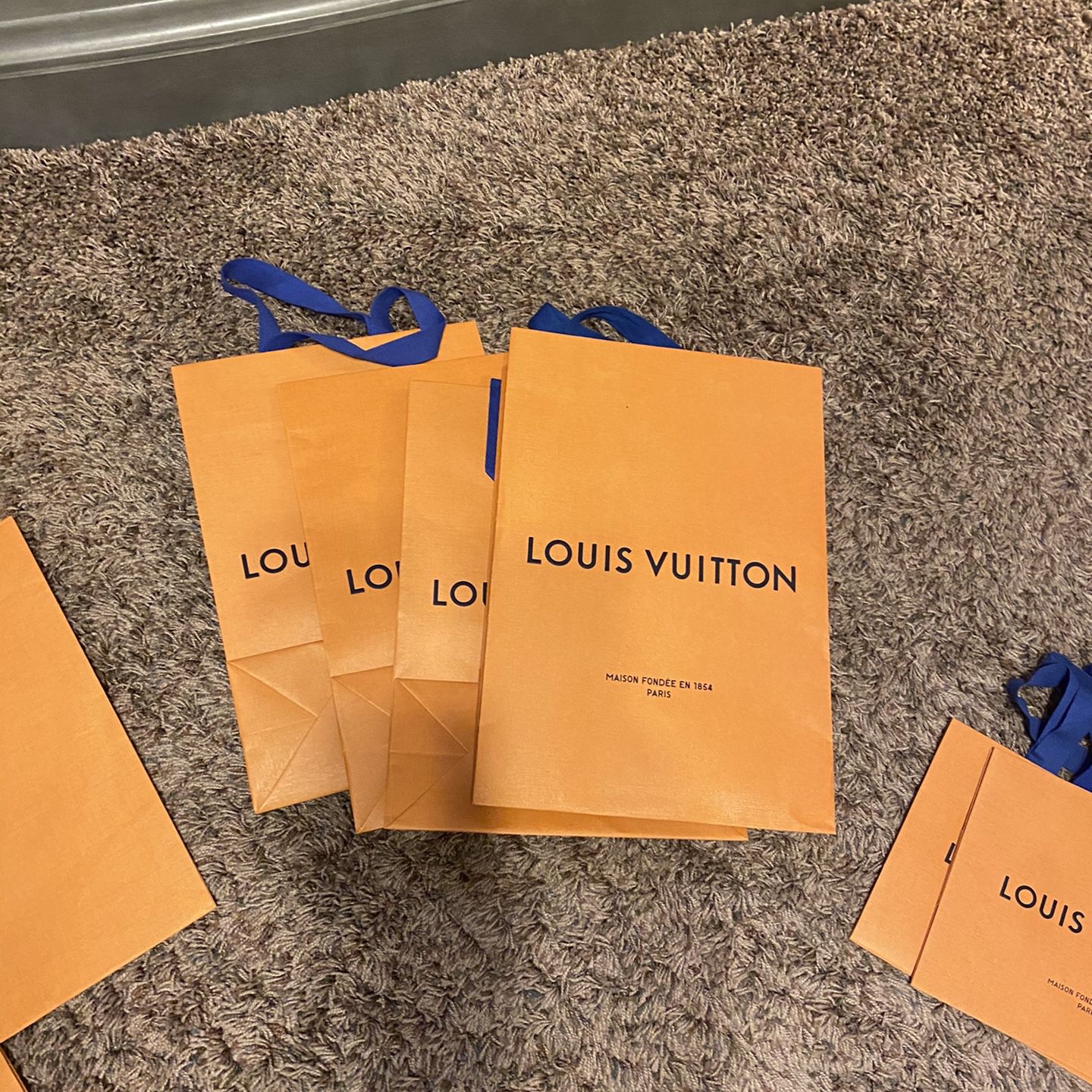 Louis Vuitton Various Bags
