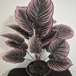 *** REDUCED *** Colorful Faux Monstera Plant in 9" Resin Planter Topped with Labradorite Stones @ Lasting Creations