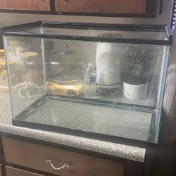 20 Gallon Aquarium
