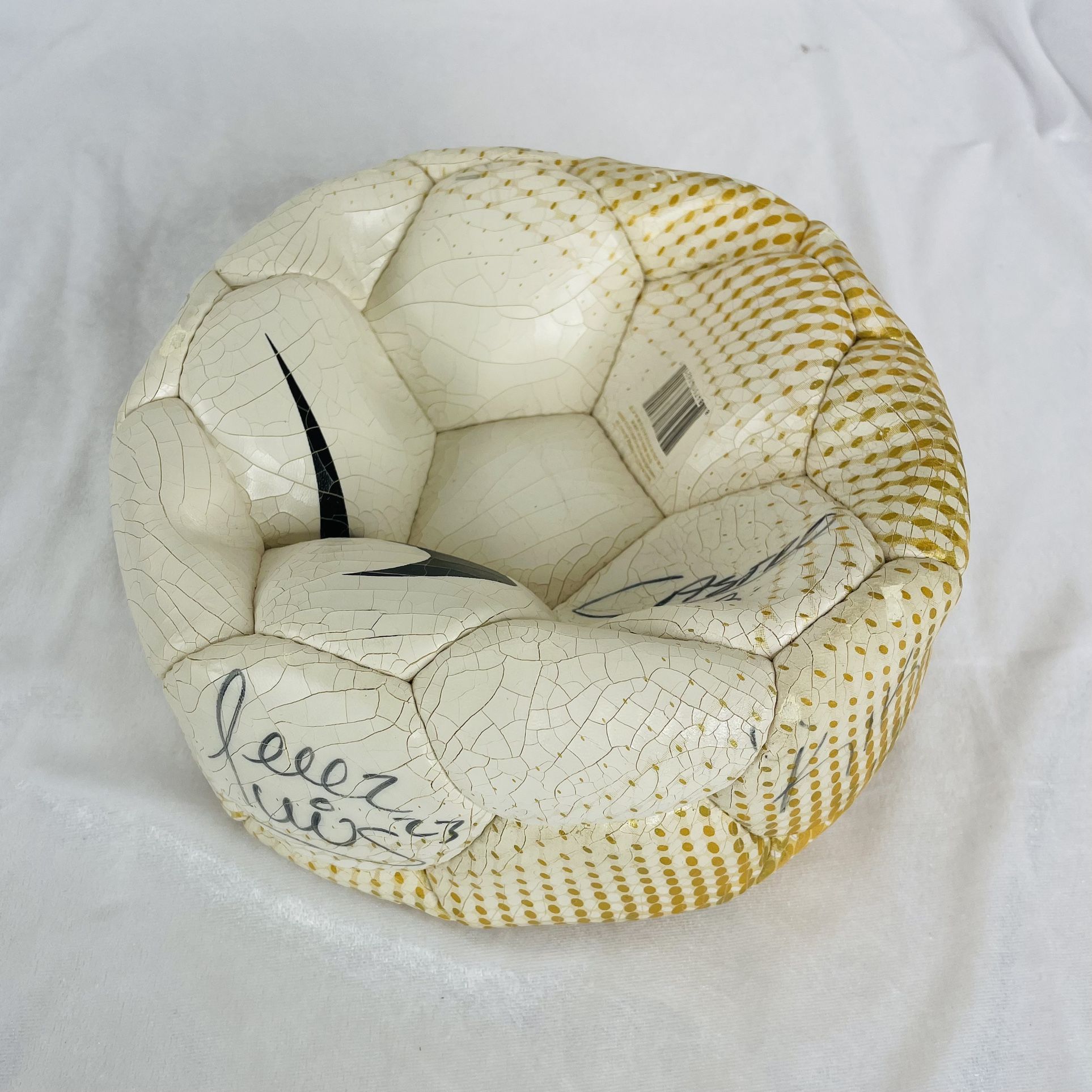Autographed Soccer Ball Mexican World Cup Team 2006 Mundial Mejico Equipo Balon