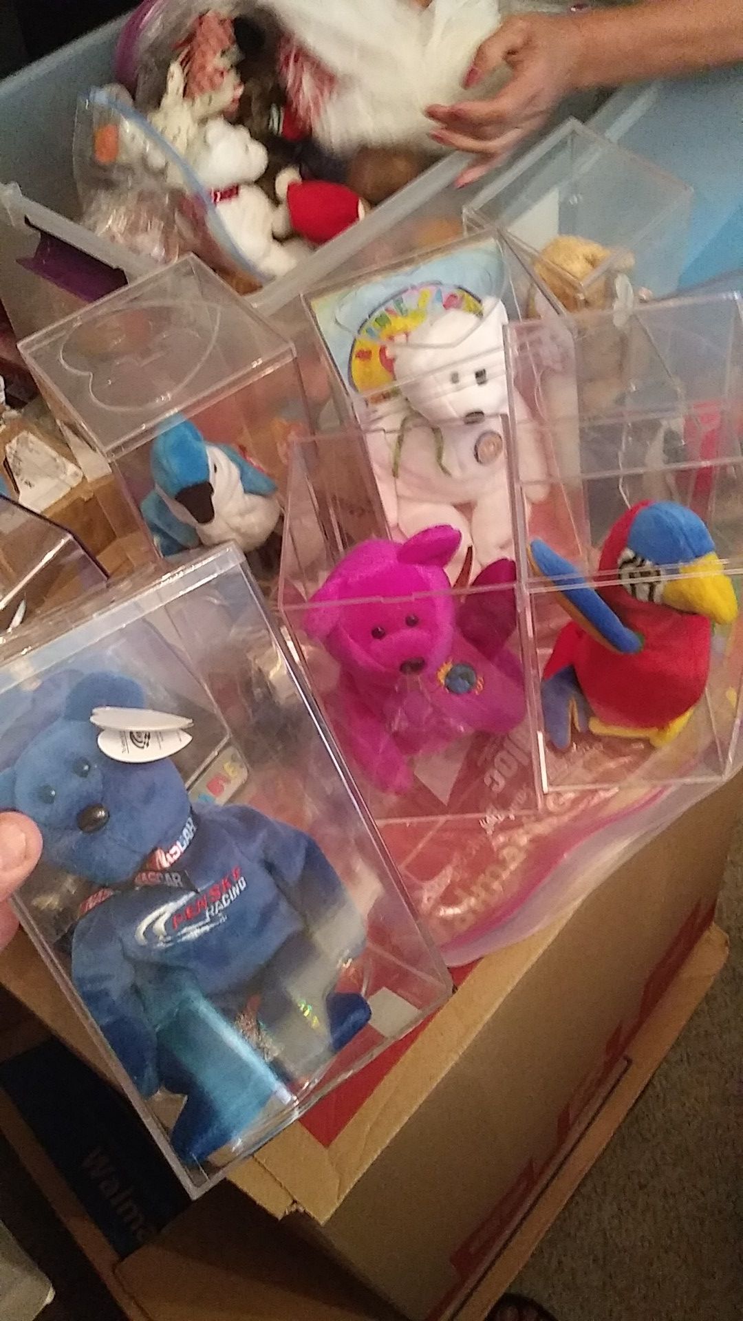 Like nice Beanie Babies