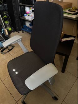 Haworth Fern with Lumbar Support