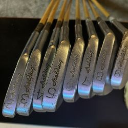 Spalding Par Flite Tournament Model Wood Shaft irons  (2-9)