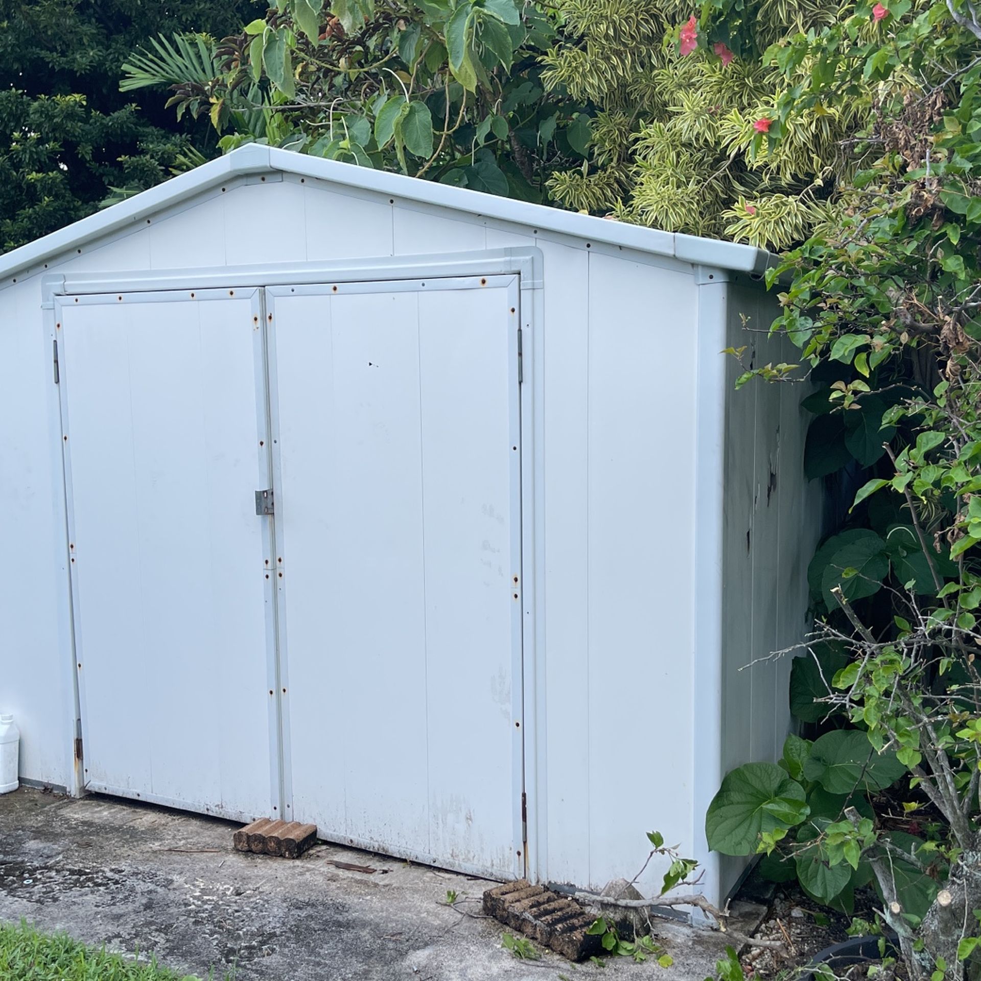 Free Shed Today