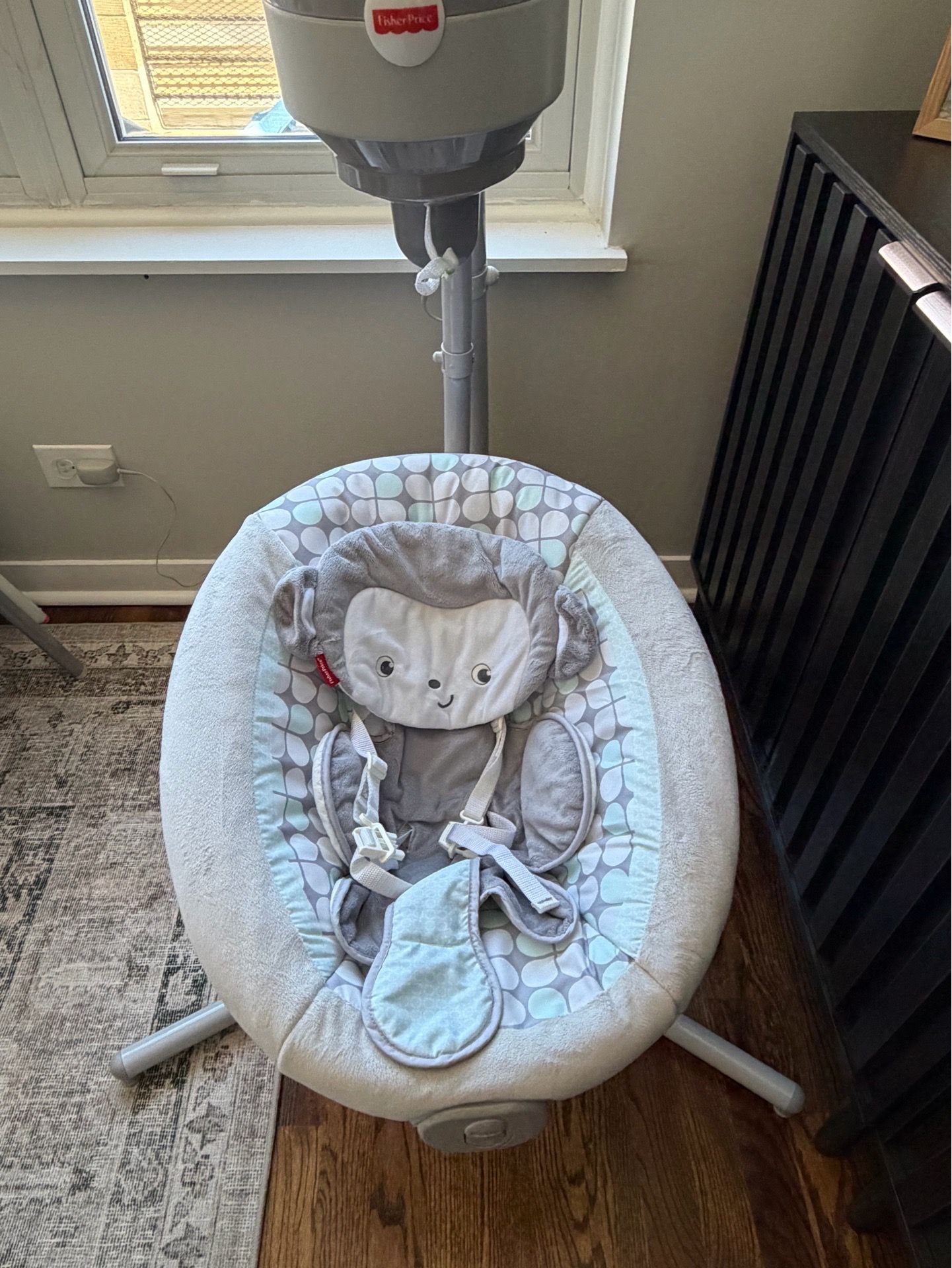Baby Swing