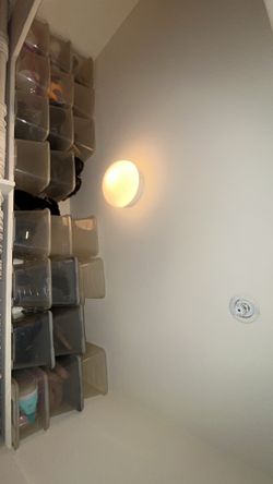Clear women’s shoe boxes
