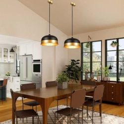 Classical simplicity 2-Light Modern/Contemporary Dome Hanging