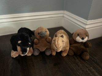 Daushand, Otter, Capybara, And plataspus Stuffed animals