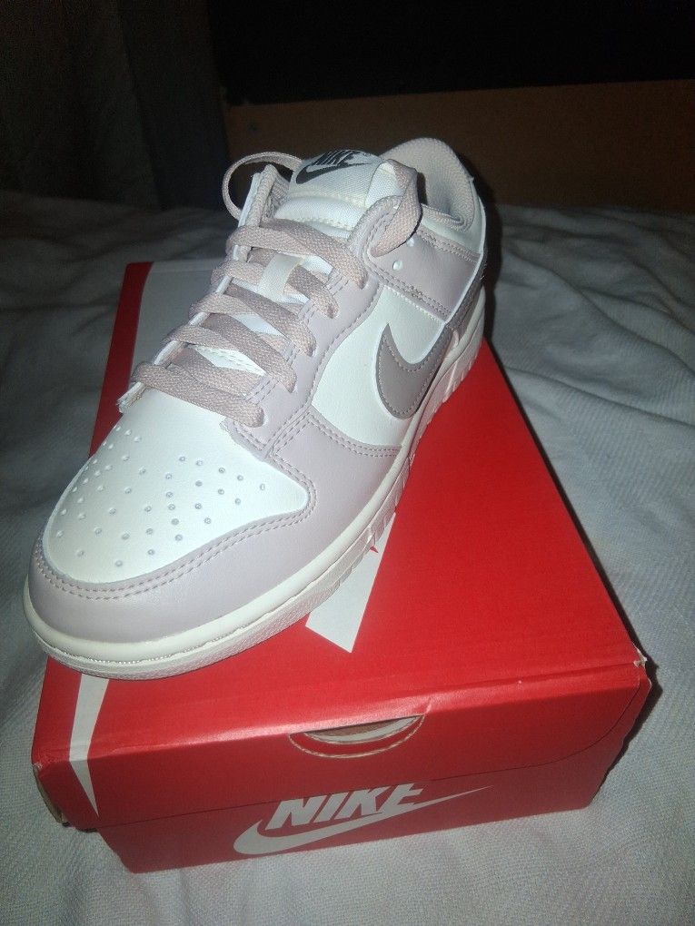 Brand New Nike Low Dunks 