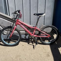 Kids 20” bike