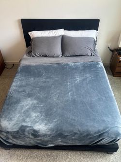 Queen Bedframe + Mattress- Excellent conditions
