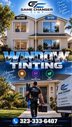 window tin t for home