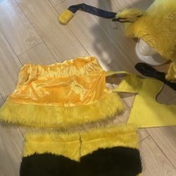 Pikachu costume