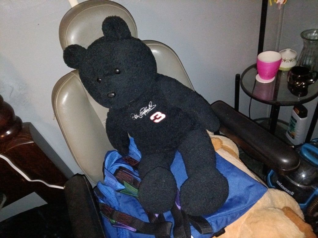 Dale Earnhardt Teddy