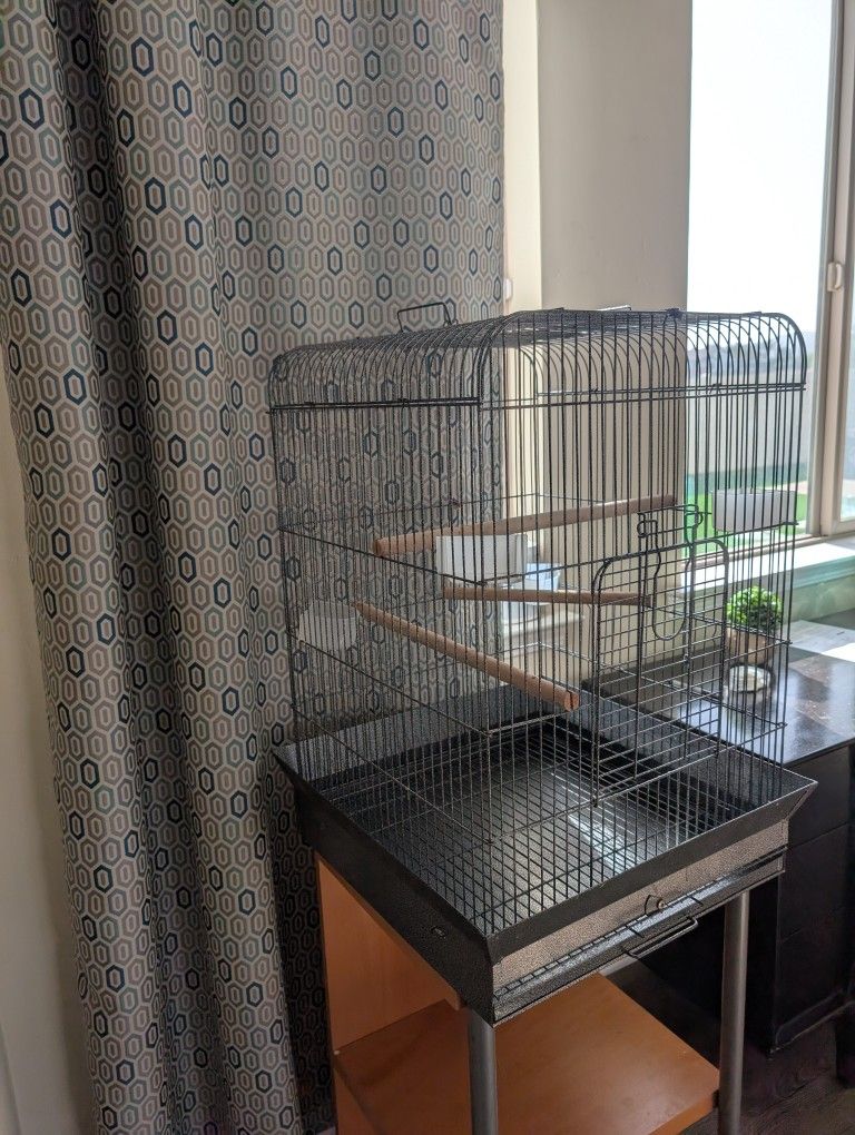 Bird Cage
