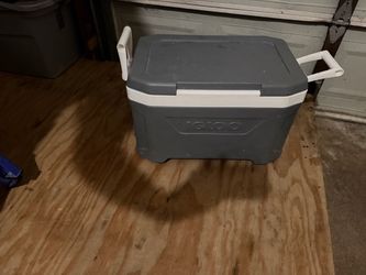 Cooler