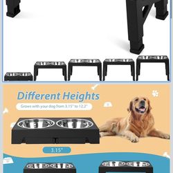 Elevated Dog Bowls with 2 Stainless Steel Dog Food Bowls