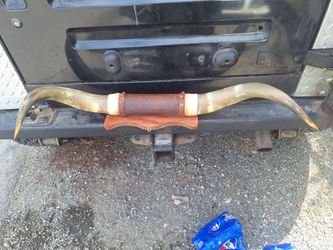 Mounted Texas Longhorn Steer Horns (29.5” Tip-to-Tip)