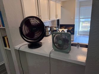 Fans