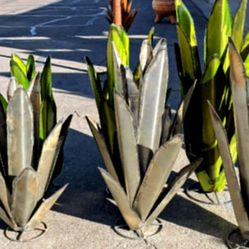 New Rusty Metal "Agaves" 
4 sizes/ 4 Prices
Delivery Available

Large 
Approx. 3ft.      $120.00
Medium 
Approx. 2ft.5"   $90.00
Small 
Approx. 2ft.  