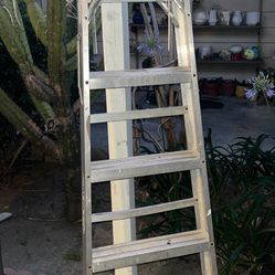 6FT” Werner Aluminum Ladder