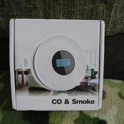 Co  & Smoke Detector 