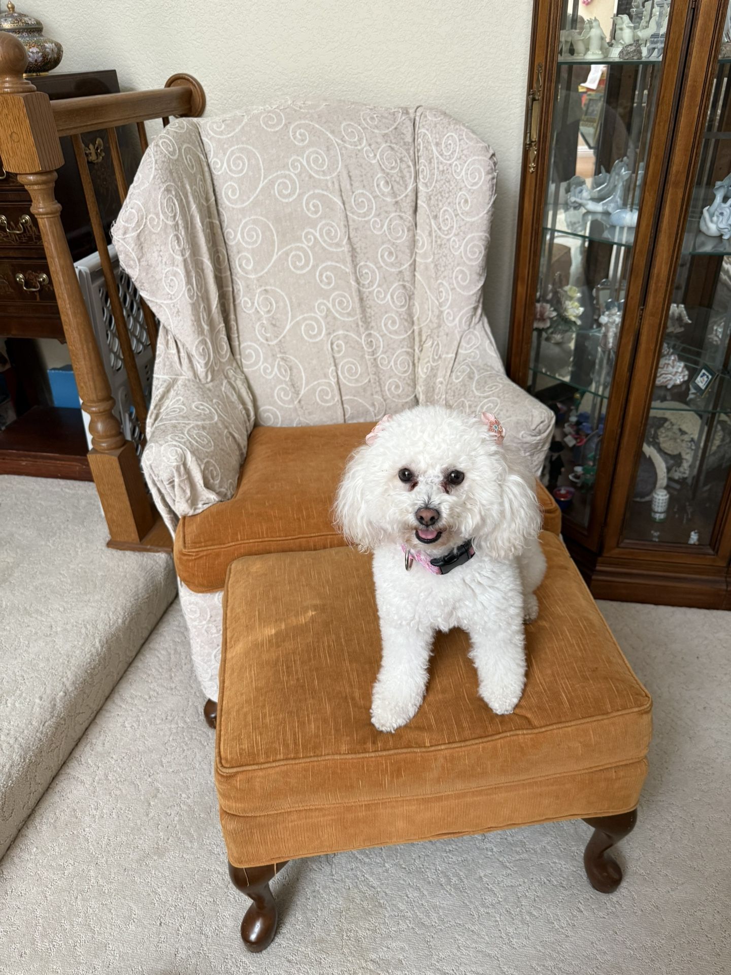 Chair-wing Back. It’s Orange. I Had This Beige Cover On It –DOG Not Included$45 P/up Upland