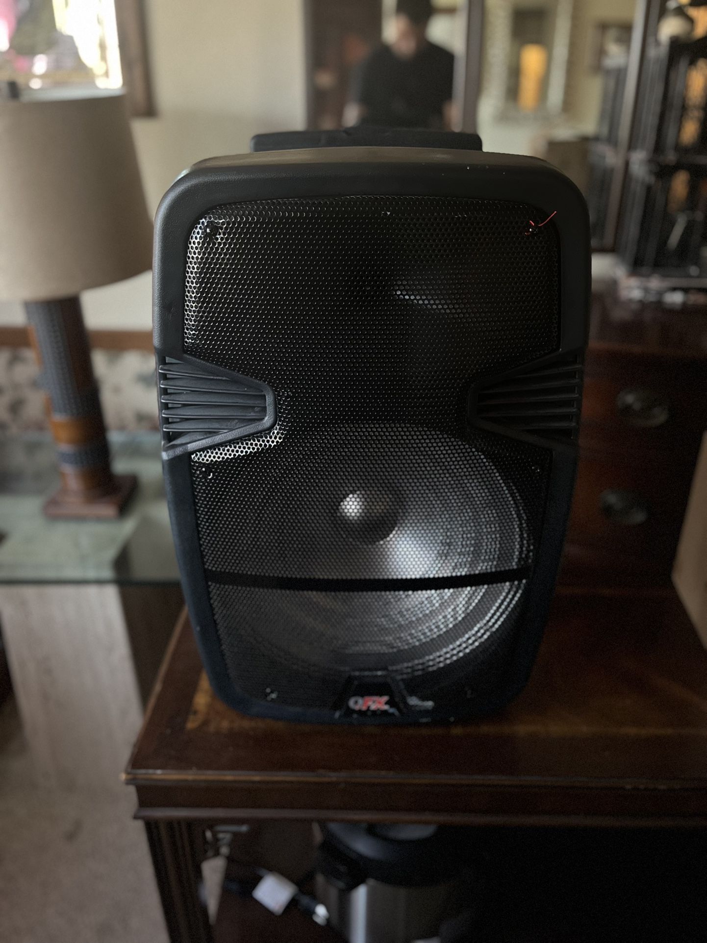 Bluetooth Pa Speaker 