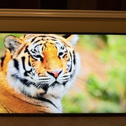 Fire TV - 4K Ultra HD Smart LED TV - 55 inches 