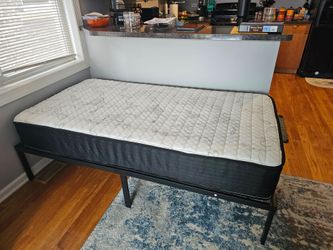 Black Metal Bed Frame with Twin Mattress