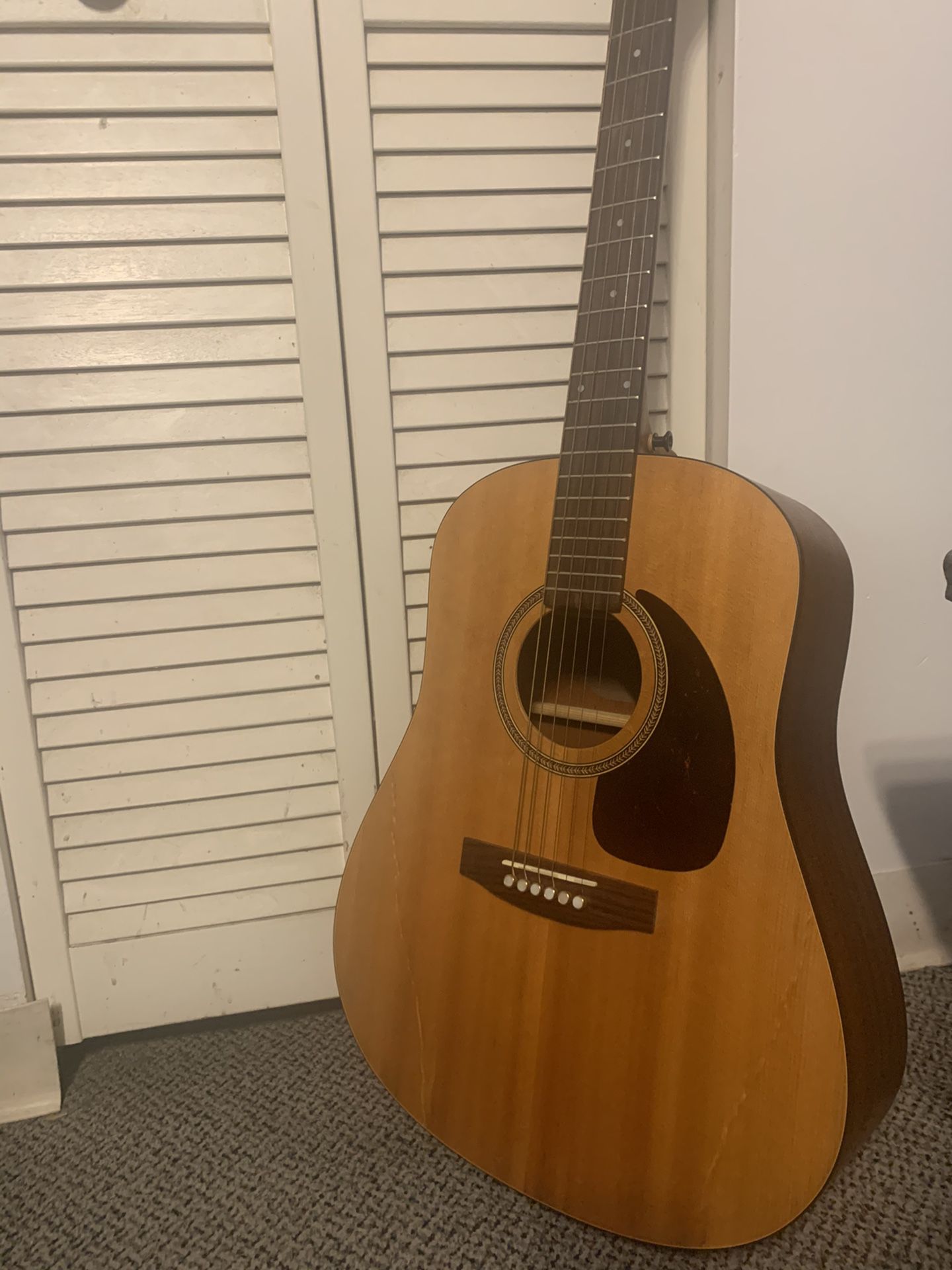 Seagull M6 Spruce Acoustic Guitar w/ Fender bag