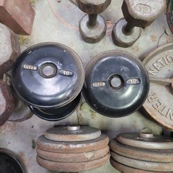 10lb Dumbbells Intek